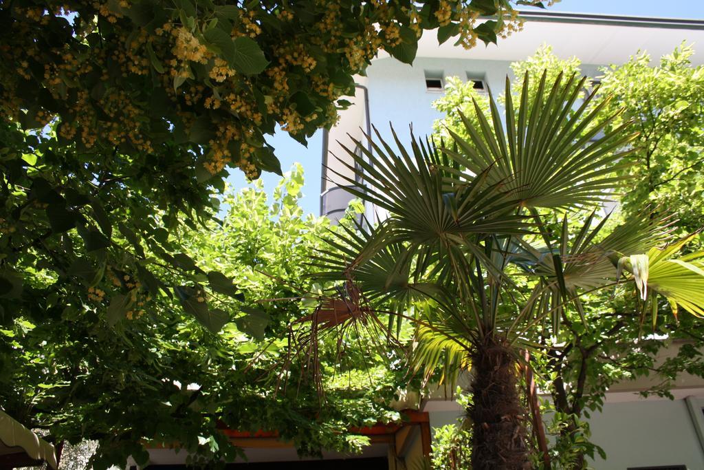 Hotel Villa Dei Gerani Rimini Exterior foto
